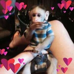 Meet your Posher, Cathy